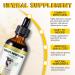 Natural Yeast Infection Treatment for Dogs - Ear Infection Relief Itchy Skin Support 2fl oz Herbal Supplement for Healthy Coat & Skin 60ml - Buy Online on GoSupps.com