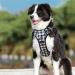 Heele Dog Crockery & No-Pull Harness | Medium-Sized Reflective Dog Gear - Soft Adjustable Padded Handle - Black & White Checkered - Buy Online on GoSupps.com