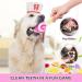 Legend Sandy Squeaky Dog Toys - Cute Plush Fruit & Veggies for Small & Medium Dogs | 14-Piece Set - Buy Online on GoSupps.com
