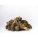 Sabarot - Extra dried morels 150g - Buy Online on GoSupps.com