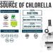 Organic Chlorella Powder - 4 Certifications, Raw & Sun Grown - High Nutrient & CGF Levels, 75 Servings - Buy Online on GoSupps.com