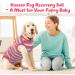 Kuoser After Surgery Dog Body Suit - Breathable Medical Suit for Post-Op Dogs/Cats | Alternative to Ruff XL Red & Blue - Buy Online on GoSupps.com