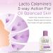 Lacto Calamine Oil Control Face Lotion - 120 ml by Lacto Calamine - Buy Online on GoSupps.com