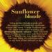 OGX Hydrate & Color Reviving Sunflower Shimmering Blonde Oil 3.3 oz with UVA/UVB Filters - Buy Online on GoSupps.com