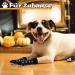 4 Pairs Anti-Slip Dog Socks - Indoor Paw Protection for Dogs | Non-Slip Socks for Indoor & Outdoor Use - Buy Online on GoSupps.com