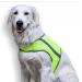 FinNero ATTE safety vest for dogs size XXL