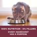 Purina ONE Urinary Tract Health High Protein Natural Adult Cat Food - Chicken, 7 lb Bag - Buy Online on GoSupps.com