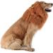 TOMSENN Dog Lion Mane - Realistic & Funny Costume Accessory for Medium to Large Dogs - Buy Online on GoSupps.com