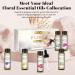 EUQEE Floral Essential Oils Set - 100% Pure Therapeutic Grade Aromatherapy Oils for Diffuser - Lavender, Rose, Ylang Ylang, Jasmine, Geranium, Chamomile - 60ml Total - Buy Online on GoSupps.com