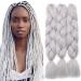 Tess Braids Extensions 60 cm Jumbo Braids KanCalon Kunsthaar for the single-laid box braids hair extension braid 100g/bundle of hair braids extension (1 piece-silver white) 60 cm (1 piece) #7 Silbrig white