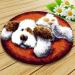 MGahyi Latch Hook Kit - Puppy Dog Rug DIY Crochet Yarn Kit for Kids & Adults (1 Pack) - Buy Online on GoSupps.com