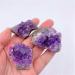 1/5/10PC 1PC/10-20g Natural Purple Brazilian Amethyst Quartz Crystal Cluster Geode Stones Specimen Home Decor Crafts Ornament ZJGIDTEM (Color : 5pc) - Buy Online on GoSupps.com