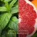 Botanica by AirWick Naturally Derived Wax Candle - Moroccan Mint & Pink Grapefruit | Up to 40 Hours Burn Time | Pack of 1 - Buy Online on GoSupps.com