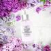 Cut the Lilacs Fine Fragrance Mist 4 Fl Oz 118 Ml - the Intoxicating Scent of Spring Lilacs in full bloom - with Plant Extracts - Buy Online on GoSupps.com