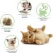 Kitten Teething Toys 6 Pcs Natural Silvervine Sticks Kitten Teething Toys Catnip Toys Chew Sticks Cat Teeth Cleaning Teeth Chew Toy for Indoor Cat Teeth Cleaning Kitten Teething and Stress Release - Buy Online on GoSupps.com