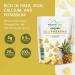 Nature's Intent Organic Dried Pineapple - 4 Pack x 3.5 oz - Healthy Vegan Snack - USDA Organic, Non-GMO, Gluten-Free - Buy Online on GoSupps.com