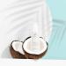 PURE FIJI Hydrating Day Face Cream - Multi-Active Moisturizer Gel for All Skin Types | Natural Formula 1.7 Fl. Oz - Revitalize & Smooth Skin - Buy Online on GoSupps.com