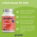 Premium Vegan Vitamin B12 Tablets (200 pcs) - Bioactive Forms + Folic Acid 5-MTHF - 500 g Pure B12 Daily Dose - Lab Tested & Additive-Free - International Shipping - Buy Online on GoSupps.com