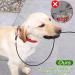 2er-Pack Kausproof Dog Leash Extension - Tangle-Free Metal Cable Robust Design Black | Optimized Connection for Leashes & Collars - Buy Online on GoSupps.com