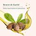 LE PETIT OLIVIER - Lait Corps R parateur - Beurre de Karit - Nourrit R pare & Hydrate - Peaux Tr s S ches - 96% d'Origine Naturelle - Sans Silicone - Fabriqu en France - 250 ml - Buy Online on GoSupps.com