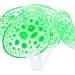 Buy VOCOSTE Silicone Glowing Aquarium Coral with Suction Cup - Lifelike Green Underwater Decor for Fish Tanks - Buy Online on GoSupps.com