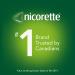 Nicorette Quit Smoking Nicotine Gum Extreme Chill Mint 4mg Value Size 210 count 4mg EXTREME CHILL MINT 210 count (Pack of 1) - Buy Online on GoSupps.com