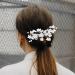 Angoily Piece Hair Comb Miss Hair Fork Prom Plastic - Buy Online on GoSupps.com