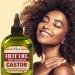 Difeel Castor Hot Oil Treatment 7.1 oz - Nourishing Hair Treatment for Strength and Shine - Buy Online on GoSupps.com
