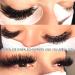 Self-Fan Eyelids DD-0.05-10 Easy Fan Lashes | 0.05 Strength Volume Eyelash Extensions | DD Curl | Individual Length 10mm | Black - Buy Online on GoSupps.com