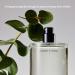 Salt & Stone Body Mist + Natural Deodorant Bundle | Bergamot & Hinoki - Buy Online on GoSupps.com