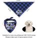 Urroma Dog Hill Cloth - Big Brother Pregnancy Announcement | Adjustable Triangular Dog Cloth - Sea Blue & Black (2 PCs) - Buy Online on GoSupps.com