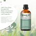PHATOIL Eucalyptus Essential Oil 30ML - Premium Grade Pure Oil for Diffusers, Aromatherapy, and Candle Making - Buy Online on GoSupps.com