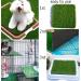 Hamiledyi Chicken Nesting Box Pads - Artificial Grass Rug for Coop - 12x12, 8PCS - Buy Online on GoSupps.com