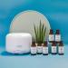 Essential Oils Set - 100% Natural Fragrance Oils | Four Thieves Lavender & Eucalyptus | Health Optima Natura - 3x10ml - Buy Online on GoSupps.com