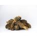 Sabarot - Extra dried morels 500g - Buy Online on GoSupps.com