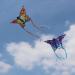 JOYIN 2 Pack Giant Butterfly Kite Set - Yellow and Blue - Easy to Fly - Large Kites for Kids and Adults - Perfect for Outdoor Games - Includes 262.5 ft Kite String - Buy Online on GoSupps.com