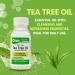 Arymar 100% Pure Tea Tree Essential Oil - Natural Oil for Hair Skin and Nails - 1 Fl Oz (Pack of 3) - Buy Online on GoSupps.com