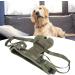Dog Lift Harness Adjustable Dog Hind Leg Support Sling Hook and Loop Design Dog Lift Support Harness for Disabled Injured Old Dog Military Green(M) - Buy Online on GoSupps.com
