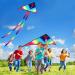 Jtkrew 2pcs Flying Dragon Kite with 100m Cord - Durable Winder & Leash for Outdoor Sports | International Shipping - Buy Online on GoSupps.com