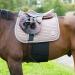 HORZE Elastic Protective Belly Guard | Anti-Rub and Anti-Chafe Girth Band for Horses Black Horse