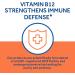Whollium Methyl B12 5000mcg Supplement - Vegan, Fast Dissolve, Peach Flavor - Energy, Heart & Brain Health - 90 Tabs - Buy Online on GoSupps.com
