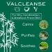 Christine Valmy Valcleanse Antiseptic Daily Morning Facial Cleanser - 3 oz | Gentle Acne Control & Soothing Formula for All Skin Types - Shop Internationally - Buy Online on GoSupps.com