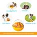 Jwteee Indestructible Dog Toys - Interactive Feeding Ball & IQ Training Puzzle for Dogs | Fun Snackball with Sound - Buy Online on GoSupps.com
