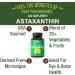 Vegan Astaxanthin Capsules with AstaPure & Coconut Oil for Max Absorption - 4mg to 12mg per Serving - Buy Online on GoSupps.com