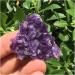 1Pcs Natural Uruguay Amethyst Cluster Home Decoration Purple Crystal StoneSpecimens Cluster Decor Semi-Precious Stone Jade Jewelry Stone Exorcise Evil Spirits (Color : Uruguay cluste ZJGIDTEM (Color 60-70g Uruguay Cluster - Buy Online on GoSupps.com