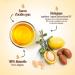 Organic Argan Oil from Morocco 250ml - Buy Online on GoSupps.com