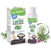 Lice-Nil Natural Head Lice Treatment Oil Kit - Kills Super Lice & Eggs - 4 FL OZ - Non Toxic & Pesticide Free - Complete Lice Eliminator Kit - Buy Online on GoSupps.com