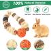 Abiz Rabbit Toys & Halloween Kaubelle Natur: Natural Wood Accessories for Rabbits Guinea Pigs Chinchillas Dwarf Rabbits and Hamsters Ideal Tooth Care Solutions - Buy Online on GoSupps.com