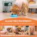 Avont Dog Body Suit - Post-Op Wound Protection for Neutered Males & Female Dogs | Postoperative Recovery Clothing in Pink (4XL) - Buy Online on GoSupps.com