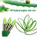 Applyvt Aloe Vera Jelly Lipstick | Magical Color Change Lip Balm | Long-Lasting Moisture | 3.5g - Buy Online on GoSupps.com
